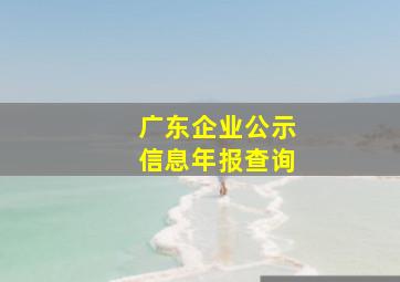 广东企业公示信息年报查询