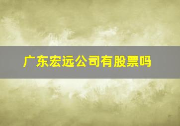 广东宏远公司有股票吗