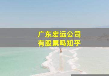 广东宏远公司有股票吗知乎