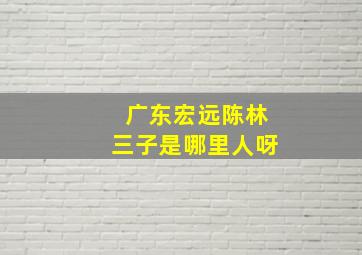 广东宏远陈林三子是哪里人呀