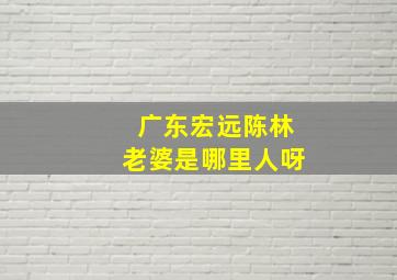 广东宏远陈林老婆是哪里人呀