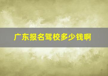 广东报名驾校多少钱啊