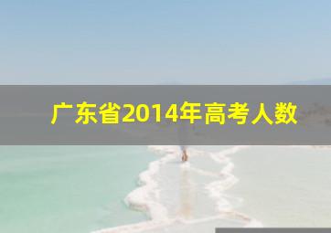 广东省2014年高考人数