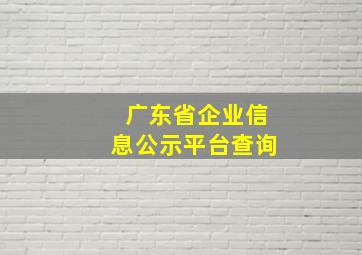 广东省企业信息公示平台查询