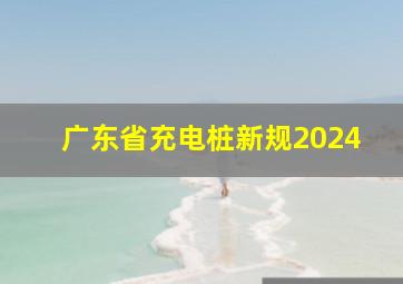 广东省充电桩新规2024