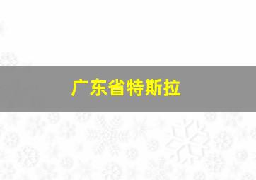 广东省特斯拉