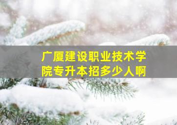 广厦建设职业技术学院专升本招多少人啊