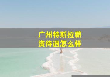 广州特斯拉薪资待遇怎么样