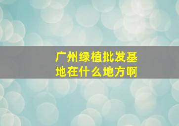 广州绿植批发基地在什么地方啊