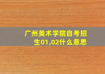 广州美术学院自考招生01,02什么意思