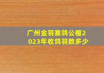 广州金羽赛鸽公棚2023年收鸽羽数多少