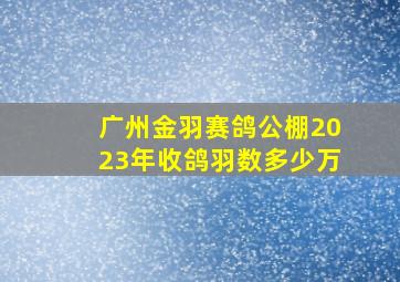 广州金羽赛鸽公棚2023年收鸽羽数多少万