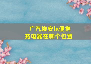 广汽埃安lx便携充电器在哪个位置