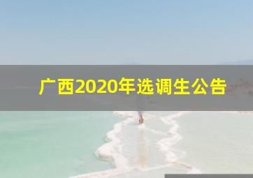 广西2020年选调生公告