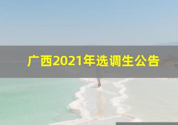 广西2021年选调生公告