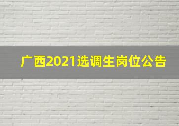 广西2021选调生岗位公告