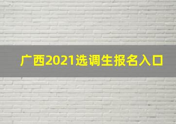 广西2021选调生报名入口