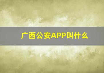 广西公安APP叫什么