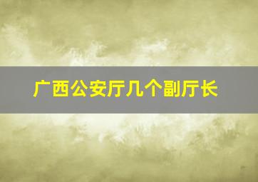 广西公安厅几个副厅长