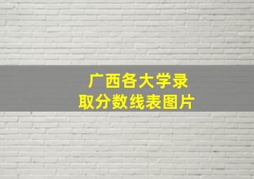 广西各大学录取分数线表图片