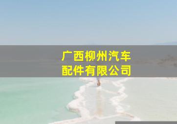 广西柳州汽车配件有限公司