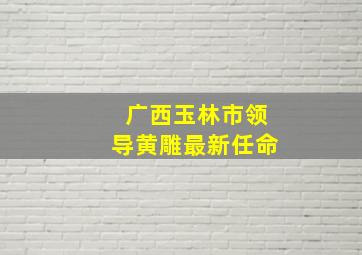 广西玉林市领导黄雕最新任命