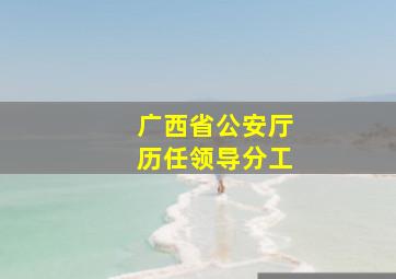 广西省公安厅历任领导分工