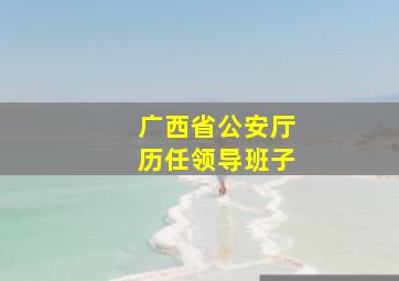 广西省公安厅历任领导班子