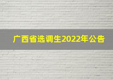 广西省选调生2022年公告