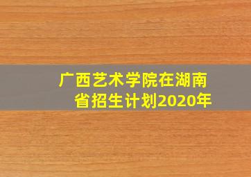 广西艺术学院在湖南省招生计划2020年