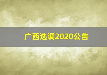 广西选调2020公告