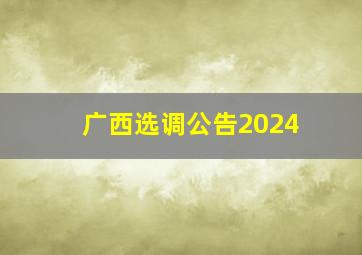 广西选调公告2024