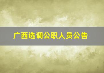 广西选调公职人员公告