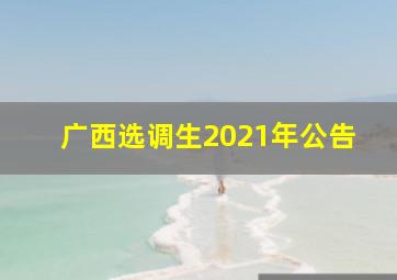 广西选调生2021年公告