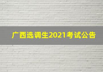 广西选调生2021考试公告