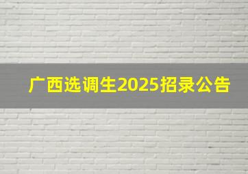 广西选调生2025招录公告