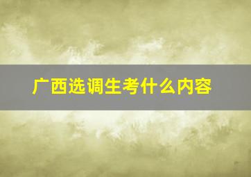 广西选调生考什么内容