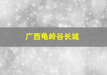 广西龟岭谷长城