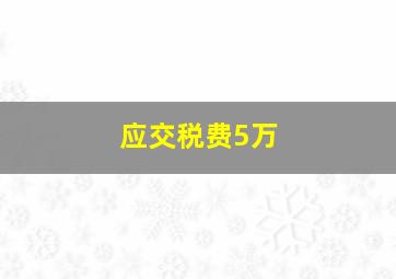 应交税费5万