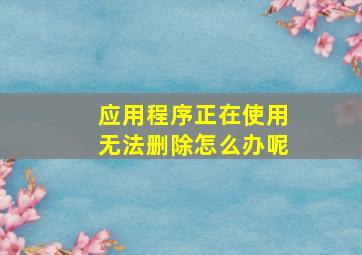 应用程序正在使用无法删除怎么办呢