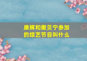 康辉和撒贝宁参加的综艺节目叫什么