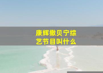 康辉撒贝宁综艺节目叫什么