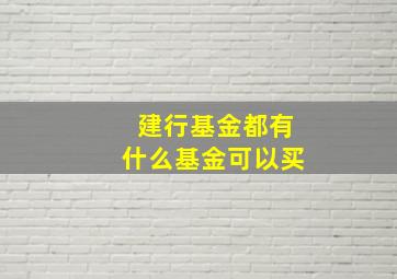 建行基金都有什么基金可以买