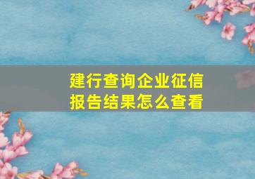 建行查询企业征信报告结果怎么查看