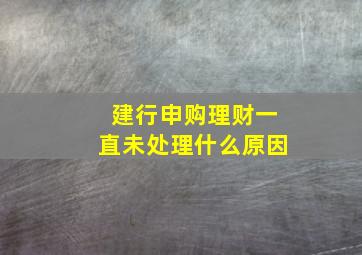 建行申购理财一直未处理什么原因