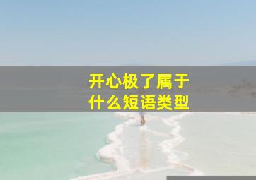 开心极了属于什么短语类型