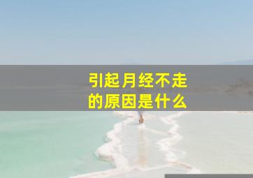 引起月经不走的原因是什么