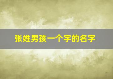 张姓男孩一个字的名字