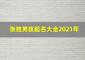 张姓男孩起名大全2021年