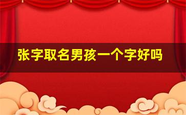 张字取名男孩一个字好吗